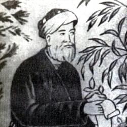 Molla Câmî